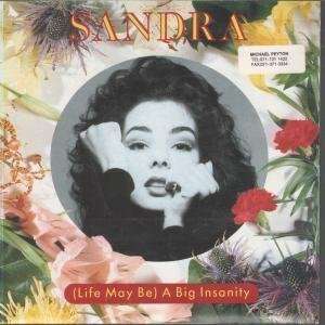   BE A BIG INSANITY 7 INCH (7 VINYL 45) UK VIRGIN 1990 SANDRA Music