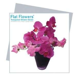  Flat Flowers Greetings in Orchid [Set of 6]