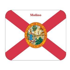  US State Flag   Molino, Florida (FL) Mouse Pad Everything 