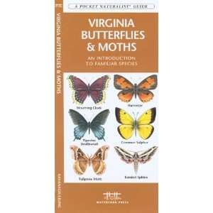  Folding Pocket Guide   Virginia Butterflies & Moths 