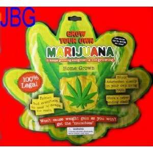  Grow Your Own Marijuana Novelty Toy Toys & Games