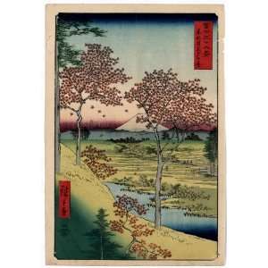  Japanese Print Toto meguro yuhhigaoka / Hiroshige ga 