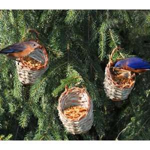  Mealworms to Go Basket, Set of 3 