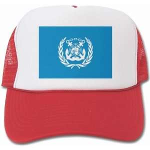 International Maritime Organization Cap 
