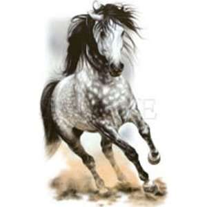  T shirts Animals Wildlife Horses Glorious Gray 3xl 