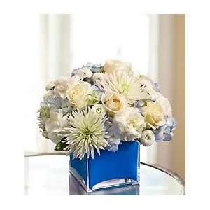 Flowers by 1800Flowers   Colors of Love   Blue   Medium  