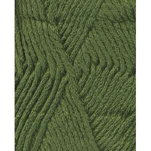    Berroco Comfort Chunky Yarn 5761 Lovage Arts, Crafts & Sewing