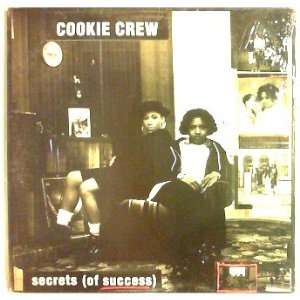  Secrets  of Success    Vinyl Record Music