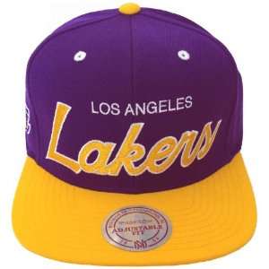 com Los Angeles Lakers Retro Mitchell & Ness Script Snapback Cap Hat 