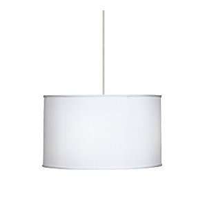   Lexington Contemporary / Modern 4 Light 12 Pendant Fixture with Larg