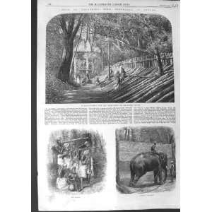   1864 CAPTURING WILD ELEPHANTS CEYLON KRAAL OLD PRINT