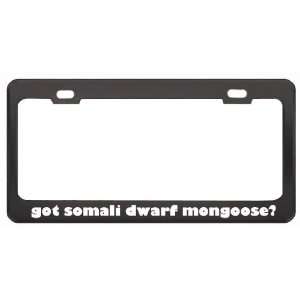 Got Somali Dwarf Mongoose? Animals Pets Black Metal License Plate 