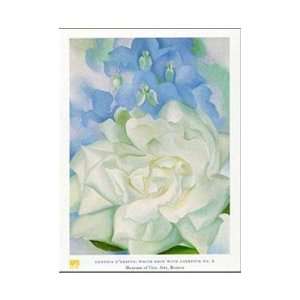  White Rose W Lakspur No.2 Poster Print