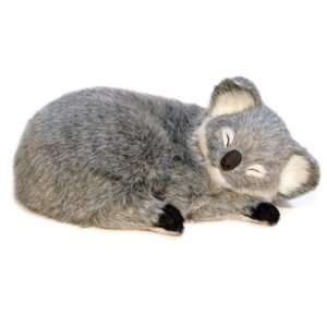  Sweet Dreams, Baby Koala Animal by Perfect Petzzz