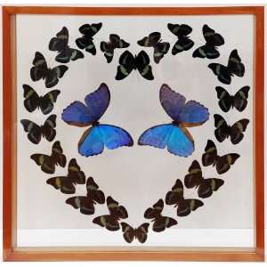   Butterfly Heart with Mounted Blue Morpho Butterflies 