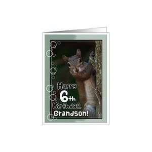    Grandson Birthday Squirrel  6th Birthday Card Toys & Games
