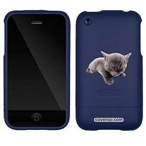  Russian Blue on AT&T iPhone 3G/3GS Case by Coveroo 