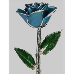   Blue Lacquer and Platinum Plated Rose 