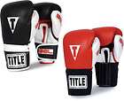 Heavy Bag Gloves New Title Black Traditional Style Pro  