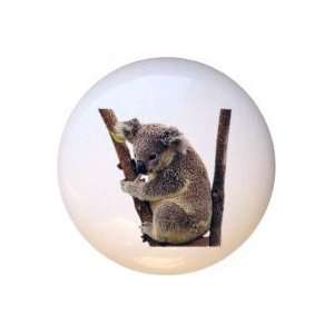 Koala Bear Drawer Pull Knob