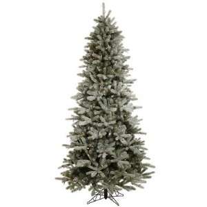  Vickerman A101082LED Frosted Frasier Fir 102 Artificial 