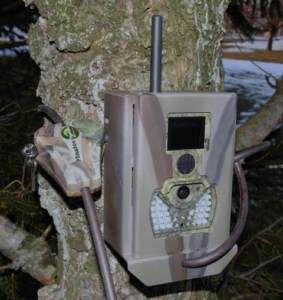 ScoutGuard SG580 Trail Camera Security Lock Box Camo  