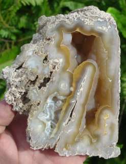 Super AAA Polished Fossil Agatized Florida Coral Geode  