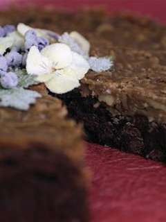 Blissful Brownies   Classic Chocolate Brownie Cake