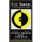 Ecco Domani Pinot Grigio 2004 