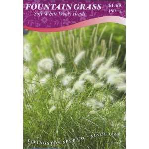  Ornamental Grass   Fountain Grass Patio, Lawn & Garden