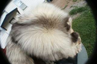 Fawn Glo pearl cross ranch fox rug dbl felt backing fur  