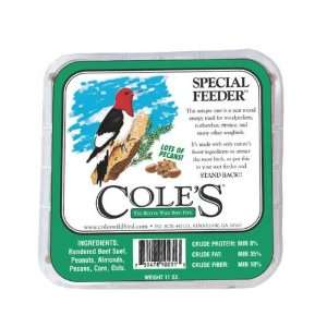   Feeder Suet Cake   High Energy Treat for Woodpeckers 