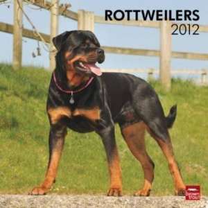  Rottweilers 2012 Wall Calendar 12 X 12