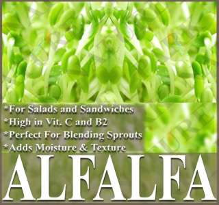 ALFALFA seeds   Alfafa SPROUTING SPROUTS VIT.C ~ BULK ~  