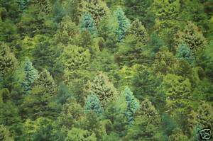 LANDSCAPE MEDLEY NATURE FOREST PINE TREES GREEN  