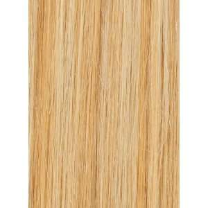  Clip in 360 STW 18 Human Hair, Color F613/27 Beauty