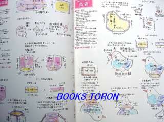 Chirimen Japanese Style Goods/Japanese Craft Book/885  