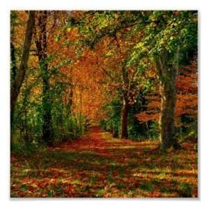 Autumn Forest Path Posters 