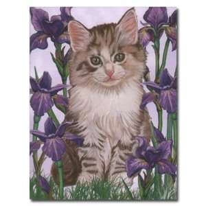  Little Kittie Gift Enclosure Cards   Set of 5 Everything 