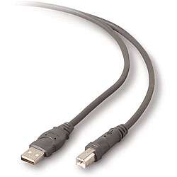 Belkin USB Cable  