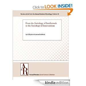 From the Sociology of Intellectuals to the Sociology of Interventions 
