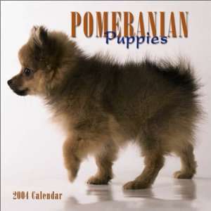  Pomeranian Puppies Mini 2004 Calendar (9780763169312 