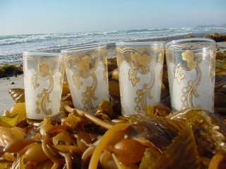 Moroccan Four White, Gold Flower Design Hot Tea Glasses  