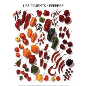  Peppers by Atelier nouvelles im 10x12