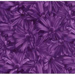  Debbie Beaves  Simple Pleasures Purple Tonal Daisies Cotton Fabric 
