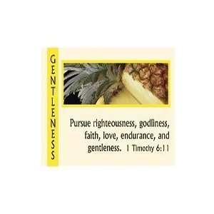  Care Cd Gentleness Fruit Pack of 25