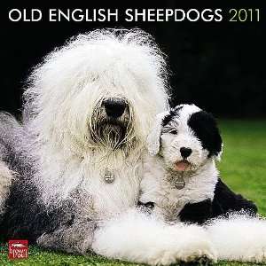  Old English Sheepdogs 2011 Wall Calendar