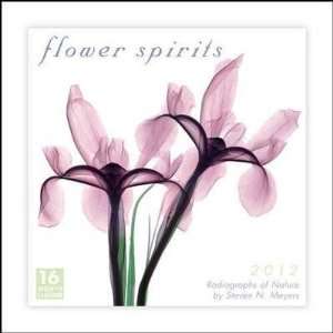  Flower Spirits 2012 Wall Calendar 12 X 12 Office 