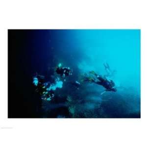   underwater, Blue Hole, Belize Poster (24.00 x 18.00)