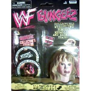   1999 WWF World Wrestling Federation Bungeez, the Game Toys & Games